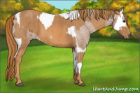 Horse Color:Bay Splash Tobiano Blanket  Brindle