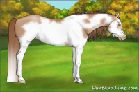 Horse Color:Brown Pearl Splash Frame 
