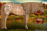 Horse Color:Bay Splash Tobiano Near Leopard  Brindle