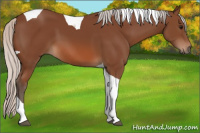 Horse Color:Silver Bay Tobiano 