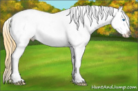 Horse Color:Buckskin Dun Splash Blanket