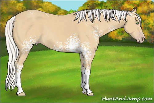 Horse Color: White Spotted Silver Classic Cream Champagne 