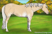 Horse Color:White Spotted Silver Classic Cream Champagne 