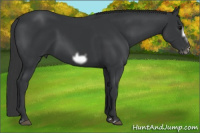 Horse Color:Brown Frame 