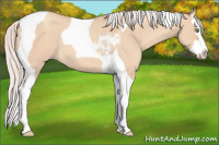 Horse Color:Silver Amber Champagne Dun Splash Tobiano