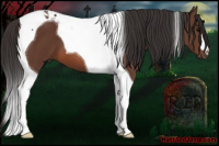 Horse Color:Bay Tobiano 