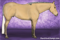 Horse Color:Silver Buckskin Sabino 