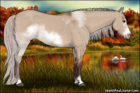 Horse Color:Silver Bay Roan Dun Sabino Frame Rabicano