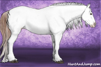 Horse Color:Red Roan Near Leopard 