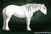 Horse Color:White Spotted Brown Dun Snowcap 