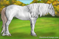 Horse Color:Chestnut Splash Frame Snowcap 