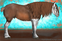 Horse Color:Liver Chestnut Splash 