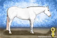 Horse Color:Bay Roan Dun Sabino Appaloosa 