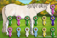 Horse Color:White Spotted Perlino Rabicano