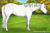 Horse Color:White Spotted Silver Perlino Dun 