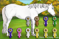 Horse Color:White Spotted Perlino Dun Splash Frame