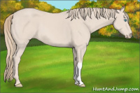 Horse Color:Smoky Creme 