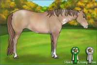 Horse Color:Black Pearl Sabino 