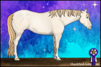Horse Color:Smoky Grullo Pearl Sabino 