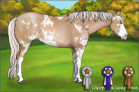 Horse Color:Silver Black Pearl Sabino 