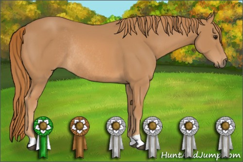 Horse Color: Chestnut Rabicano 
