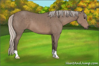 Horse Color:Silver Black 