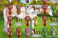 Horse Color:Silver Black Pearl Sabino