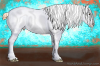 Horse Color:Chestnut Splash Appaloosa 