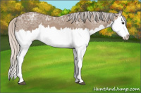 Horse Color:Silver Blue Ice Roan Splash 