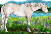 Horse Color:White Spotted Silver Classic Champagne Dun Splash Frame
