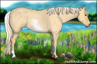 Horse Color:White Spotted Palomino Roan Dun