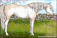 Horse Color:Silver Classic Champagne Roan Dun Splash Frame