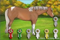 Horse Color:Silver Bay Sabino Tobiano 