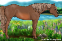 Horse Color:Liver Chestnut