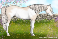 Horse Color:Silver Classic Champagne Dun Splash Frame 