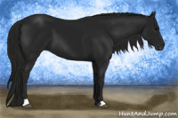 Horse Color:Gray Black 