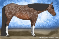 Horse Color:Bay Ice 