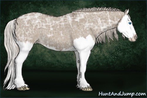 Horse Color: Silver Grullo Ice Roan Splash 