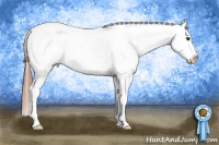 Horse Color:Blue Roan Appaloosa