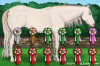 Horse Color:Perlino 