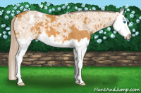 Horse Color:Palomino Ice Splash 