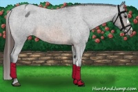 Horse Color:Brown Roan Blanket 