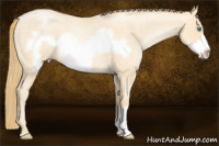 Horse Color:Smoky Blue Roan Pearl Frame 