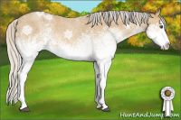 Horse Color:White Spotted Silver Buckskin Ice Roan Dun Splash 