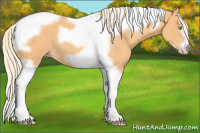 Horse Color:Gold Cream Champagne Splash Tobiano Frame 