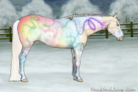 Horse Color:Gold Cream Champagne Dun Tobiano Frame Rabicano