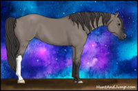 Horse Color:Smoky Grullo