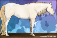 Horse Color:Buckskin Ice Roan Pearl Sabino 
