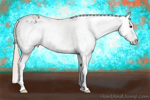Horse Color: White Spotted Chocolate Palomino Ice Splash Varnish 