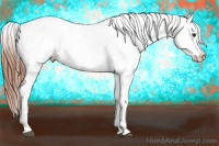Horse Color:Liver Chestnut Near Fewspot 